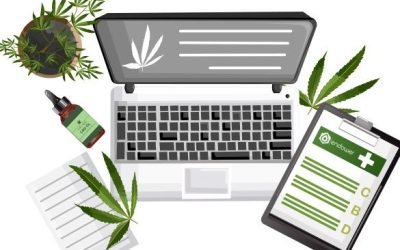 private label kosmetik auf dem markt konkurrenzfahig bleiben